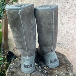 Ugg Tall